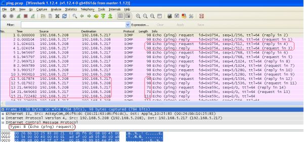 The type of ICMP traffic in the traffic scan is ICMP echo ping requests type - photo 3