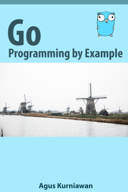 Agus Kurniawan - Go Programming by Example