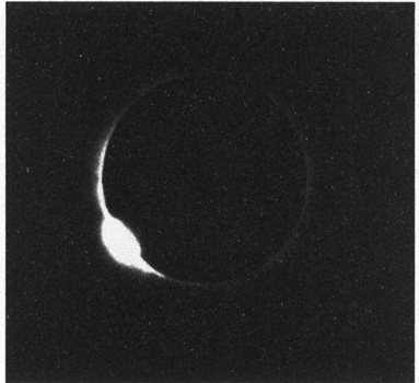 The diamond ring I look away at my fellow sky-gazers along the beach It is - photo 13