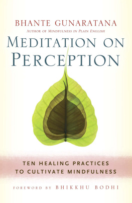 Henepola Gunaratana - Meditation on Perception: Ten Healing Practices to Cultivate Mindfulness