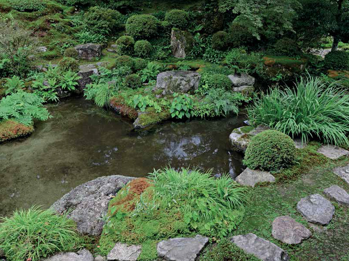 The fringes of a pond skillfully planted with ferns moss grasses and other - photo 5