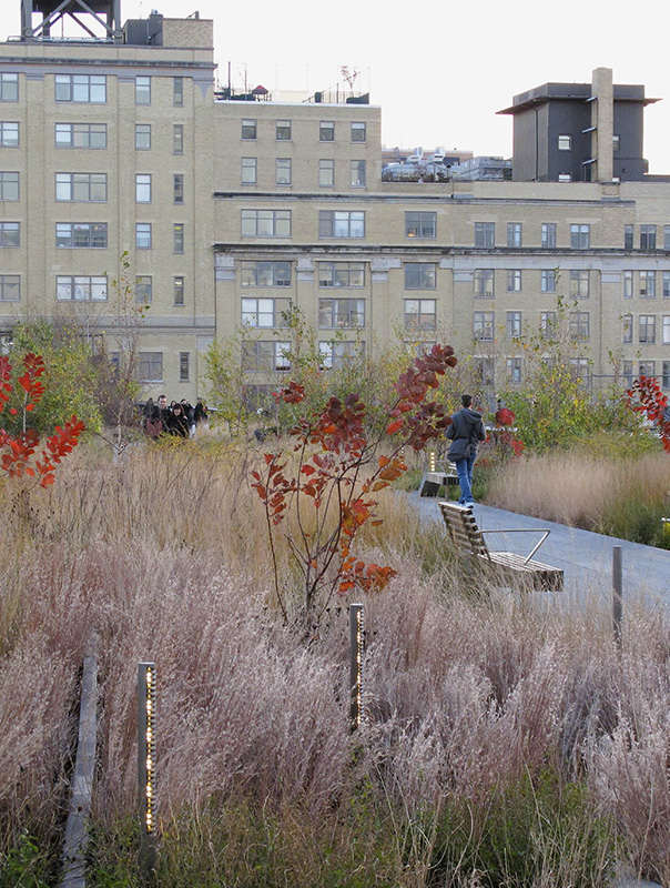 GARDENS OF THE HIGH LINE ELEVATING THE NATURE OF MODERN LANDSCAPES Piet Oudolf - photo 3