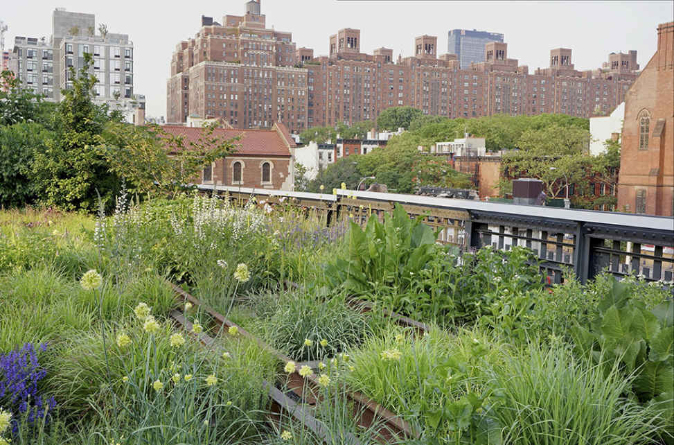 GARDENS OF THE HIGH LINE ELEVATING THE NATURE OF MODERN LANDSCAPES Piet Oudolf - photo 4