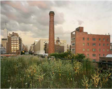 Joel Sternfeld An Evening in July 2000 2000 printed 2016 Pigment print 13 - photo 9