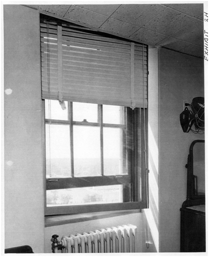 Window in Forrestals room showing security screen Carpet in Forrestals room - photo 9