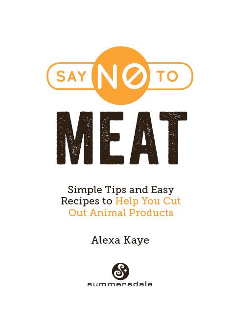 SAY NO TO MEAT Copyright Summersdale Publishers Ltd 2019 Text by Abi McMahon - photo 2