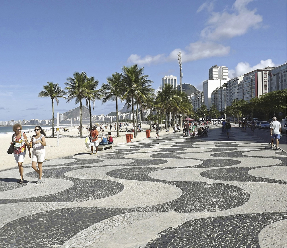 Roberto Burle Marx design at Copacabana Beach Contents The Bog Garden - photo 2