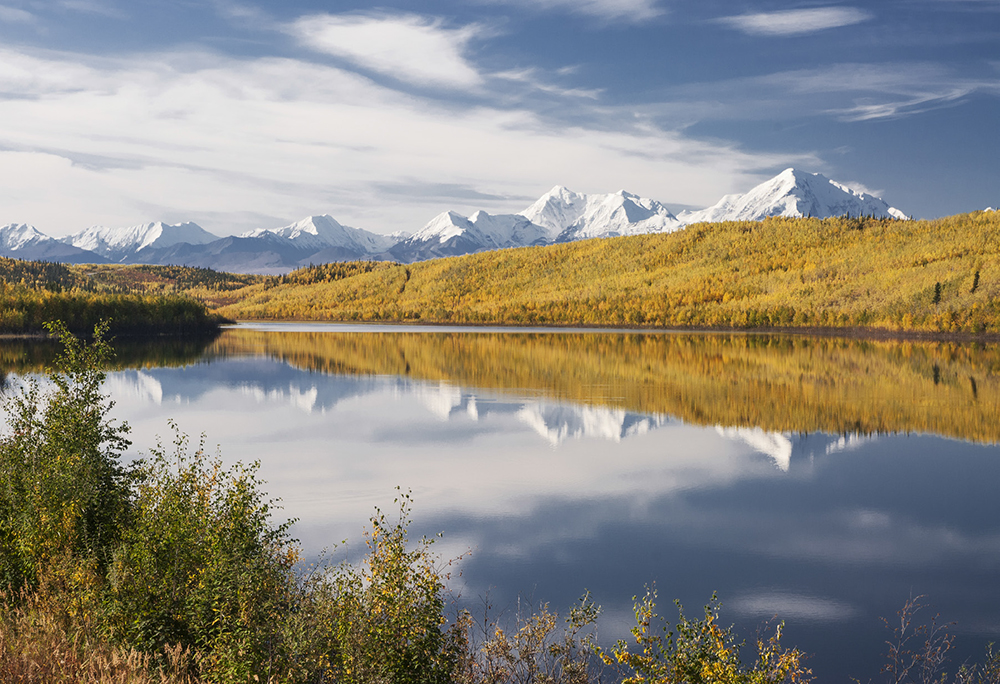 The summits of the central Alaska Range tower over an autumnal wash of color - photo 7