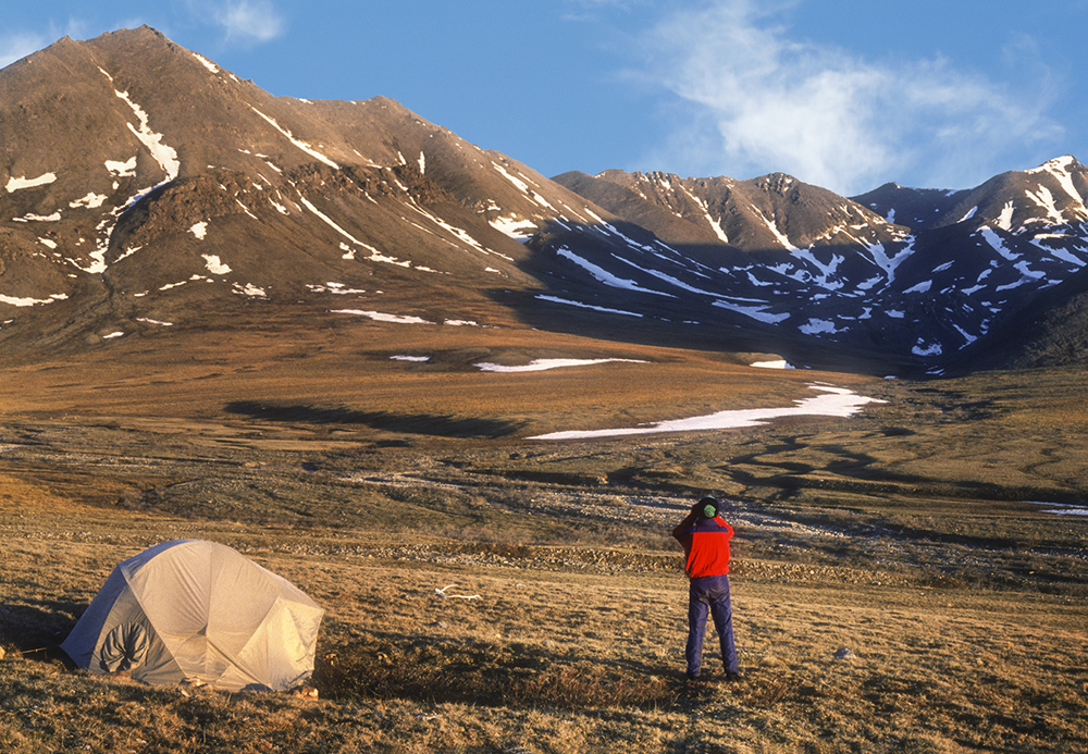 Wild Shots A Photographers Life in Alaska TOM WALKER - photo 2