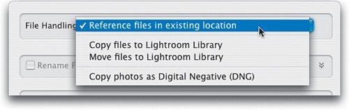 Step Five The last option Copy Photos as Digital Negative DNG makes a copy - photo 5