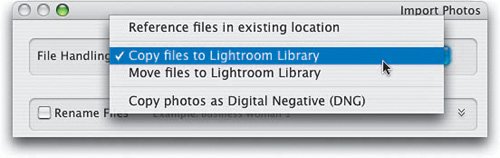 Step Five The last option Copy Photos as Digital Negative DNG makes a copy - photo 6
