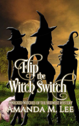Amanda M. Lee [Lee - Flip the Witch Switch
