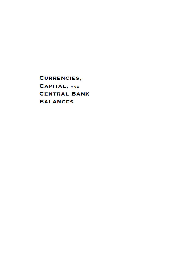 Currencies Capital and Central Bank Balances - image 2