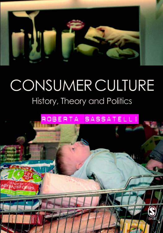 Consumer Culture History Theory and Politics - photo 1