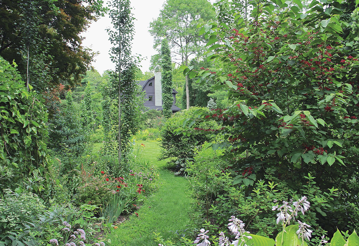 My garden in New Jersey where scented purple allium and red and yellow - photo 7