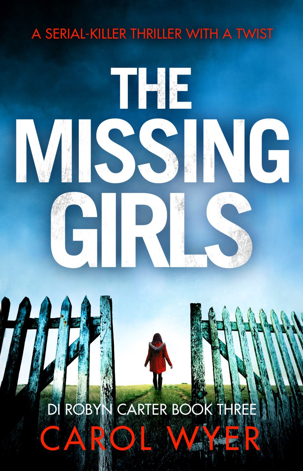 The Missing Girls A serial-killer thriller with a twist Carol Wyer - photo 1