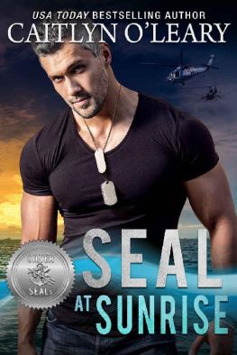 Caitlyn O’Leary - SEAL at Sunrise (Silver SEALs Book 12)