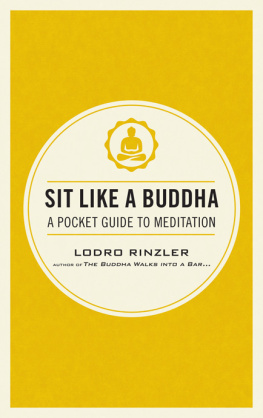 Lodro Rinzler - Sit Like a Buddha