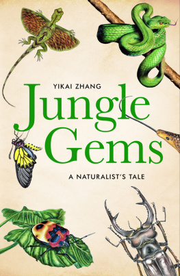 Yikai Zhang - Jungle Gems: A Naturalist’s Tale - An illustrated adventure through the jungles of Hainan in search of the most elusive beetle in China