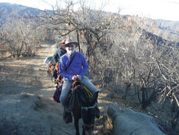 is Emeritus Professor of Quaternary Geology and Environmental Education at - photo 3