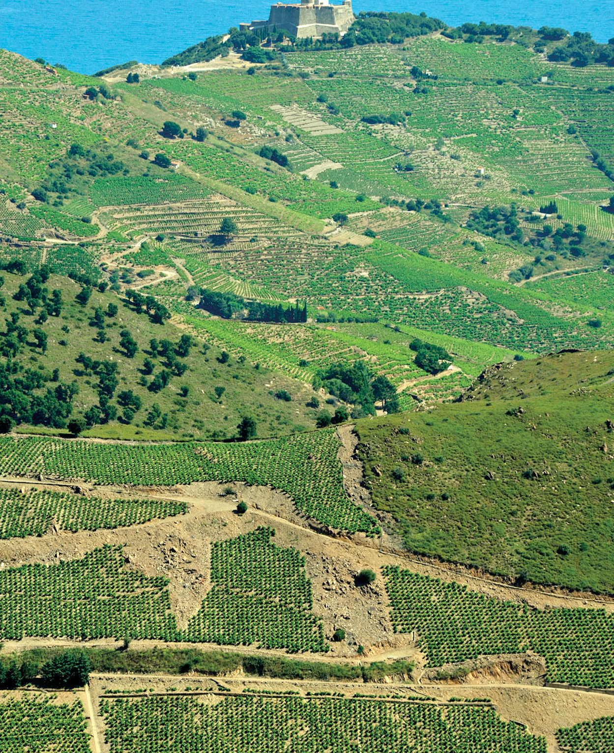 View towards the citadel at St-Elme above Collioure Sylvaine PoitauApa - photo 3