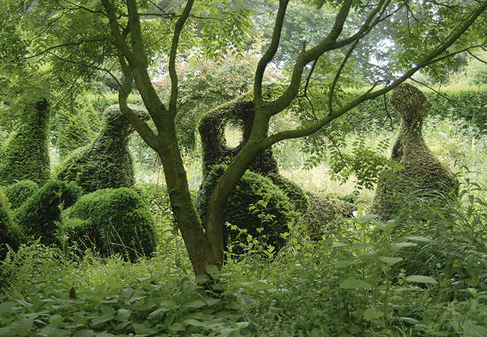 The Priona Gardens the garden of Henk Gerritsen Henk Gerritsen Anja and - photo 8