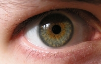 Our eyes are formidable communicators of feelings thoughts and desires From - photo 2