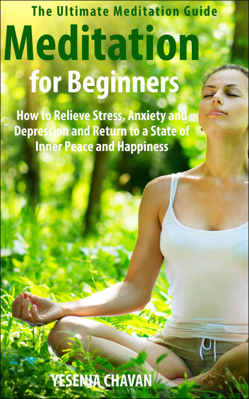 MEDITATION FOR BEGINNERS How to Relieve Stress Anxiety and Depression and - photo 1