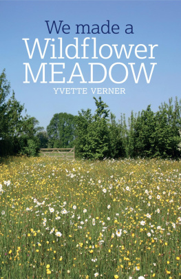 Yvette Verner - We Made a Wildflower Meadow