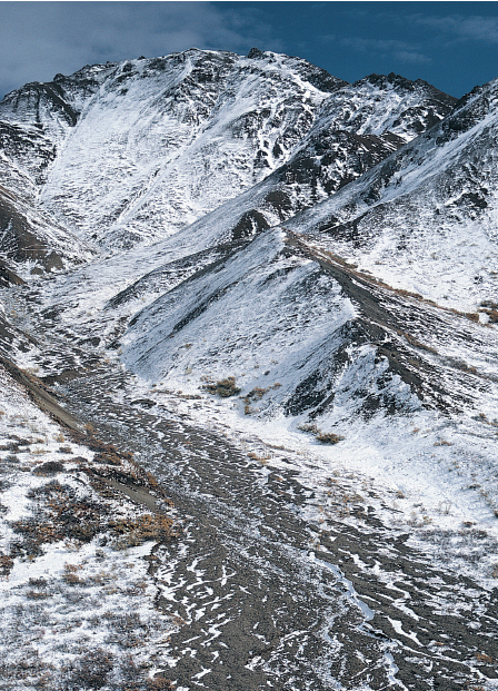 A September snowfall drapes foothills of the Alaska Range along Denali Park - photo 15