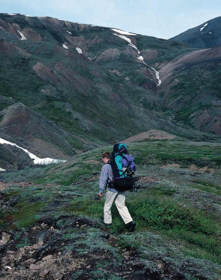 A backpacker carrying a heavy load travels across tundra in early summer while - photo 19