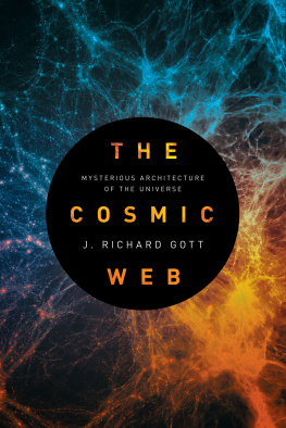 J. Richard Gott - The Cosmic Web
