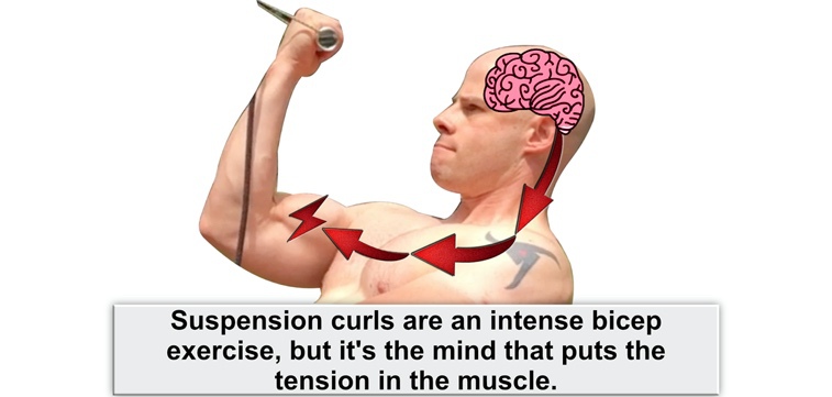 Its crucially important to understand the origin of muscle tension because it - photo 3