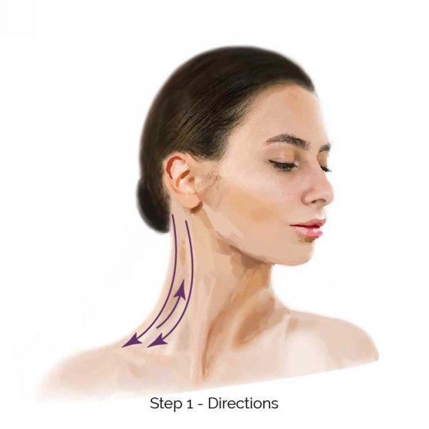 STEP 2 THE LATERAL SIDES OF THE NECK Anatomical description The sides of - photo 3