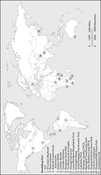 Global Map A sampling of hundreds of rewilding projects around the world - photo 2