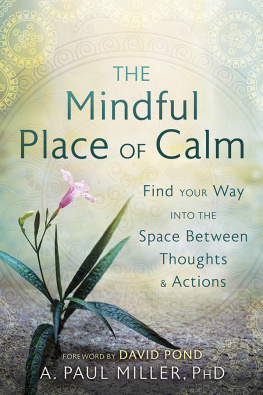 A. Paul Miller The Mindful Place of Calm Find Your Way Into the Space Between Thoughts & Actions