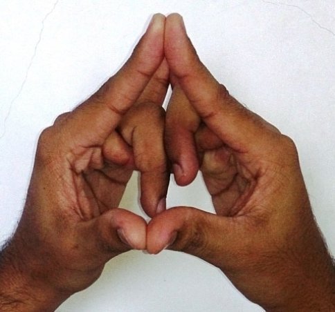 Method This Mudra has to be performed in a seated position Be seated - photo 5