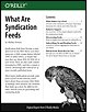 What Are Syndication Feeds - image 1