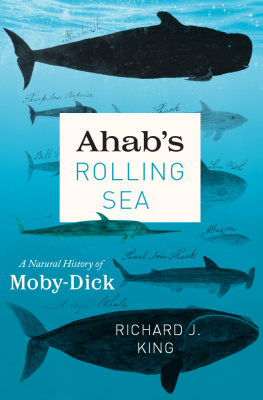 Richard J. King - Ahab’s Rolling Sea: A Natural History of Moby-Dick