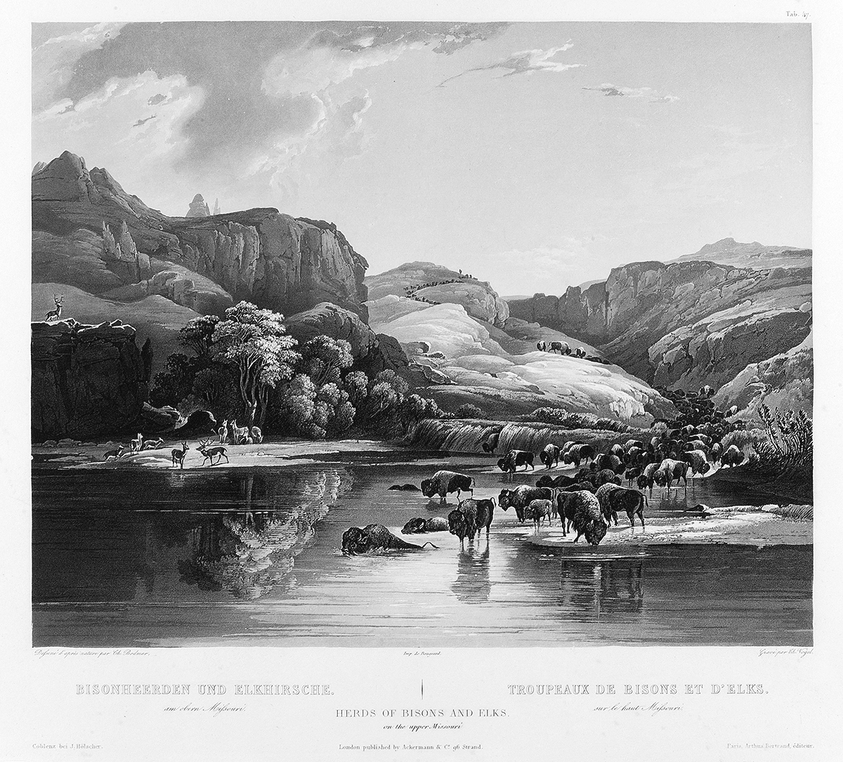 Karl Bodmer 18091893 Herds of Bisons and Elks on the Upper Missouri - photo 1