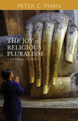 Jezus Chrystus - The joy of religious pluralism : a personal journey