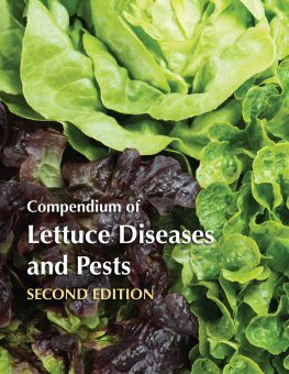 Subbarao - Compendium of lettuce diseases and pests