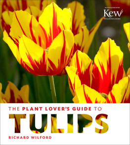 Richard Wilford The Plant Lover’s Guide to Tulips