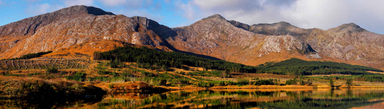 INTRODUCTION TO IRELAND Over the past three decades Ireland has transformed - photo 3