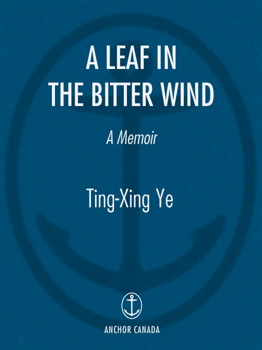 Copyright 1997 Ting-xing Ye Hardcover reprinted 1997 Paperback first published - photo 1