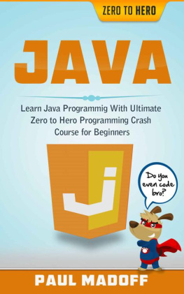 Madoff Java: Learn Java Programming With Ultimate Zero to Hero Programming Crash Course for Beginners (Java, Java Programming Language, Java Coding, Java for ... Java Programming for Beginners, JavaScript)
