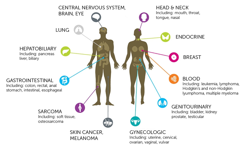 Cancer can be scary due to its myriad forms However a deeper understanding of - photo 3