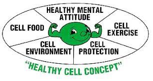 A Healthy Cell is Happy with its surroundings Precancerous Cells Imagine - photo 5