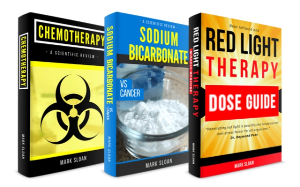 The Cancer Industry Crimes Conspiracy and The Death of My Mother Curing Cancer Book 1 - image 2