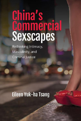 Eileen Yuk Tsang - China’s Commercial Sexscapes: Rethinking Intimacy, Masculinity, and Criminal Justice